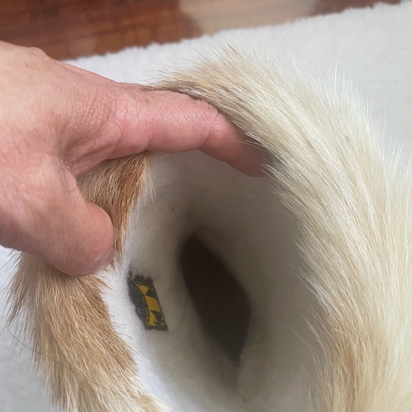 TÉCNICA BOOTS - Picture 6 of 13